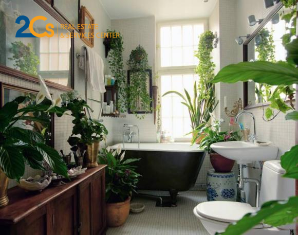 Đưa mảng xanh vào trong không gian sống 4 Mảng xanh trong phòng tắm