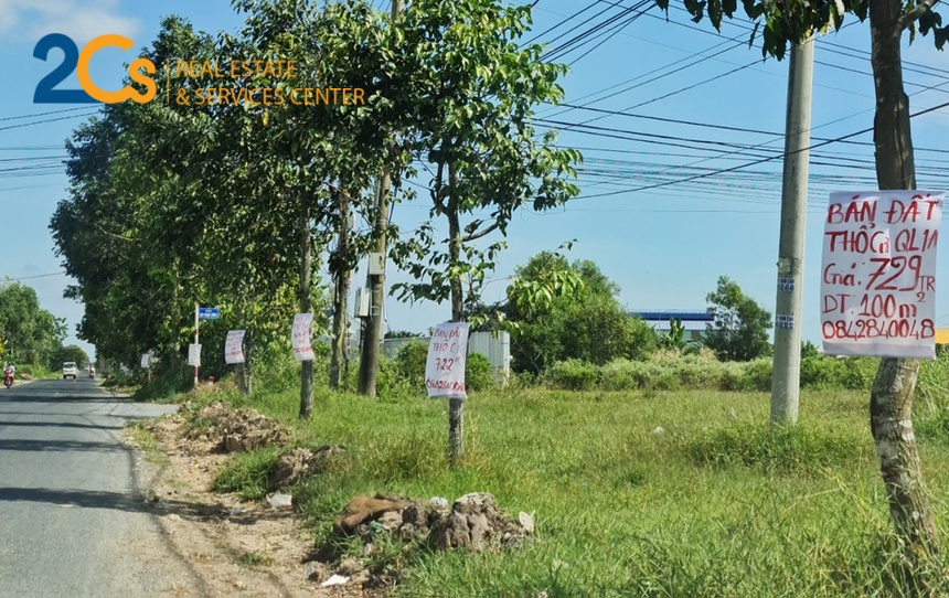 Hàng cây xanh dọc theo đường An Dương Vương, TP Sóc Trăng được người môi giới bất động sản treo áp phích rao bán đất nền. Ảnh: Việt Tường.