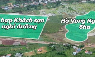 z7294143033610_7d3f67751935fc2f446eebb1da2e42c9